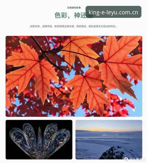 乐鱼体育品牌直营标杆站V3注册全面解析：从入门到流畅使用的深度体验分享
